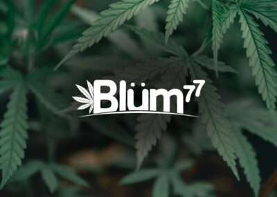 Blüm Coffee, Creación de Marca y Producto