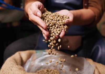 Programa de Cadenas de Valor en la Industria del Café