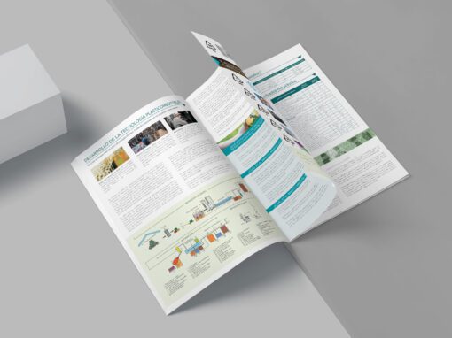 Guía Visual para Transformar Residuos Plásticos