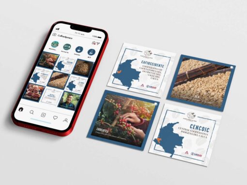 Iniciativa que Transforma la Caficultura